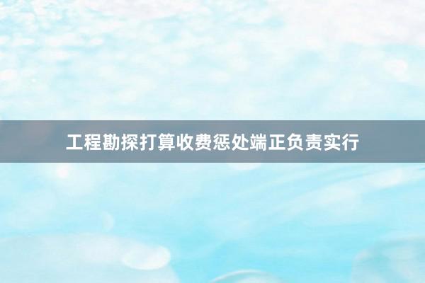 工程勘探打算收费惩处端正负责实行